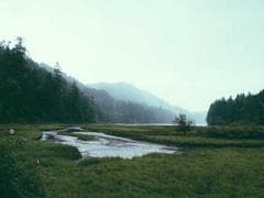 Martvili Canyon